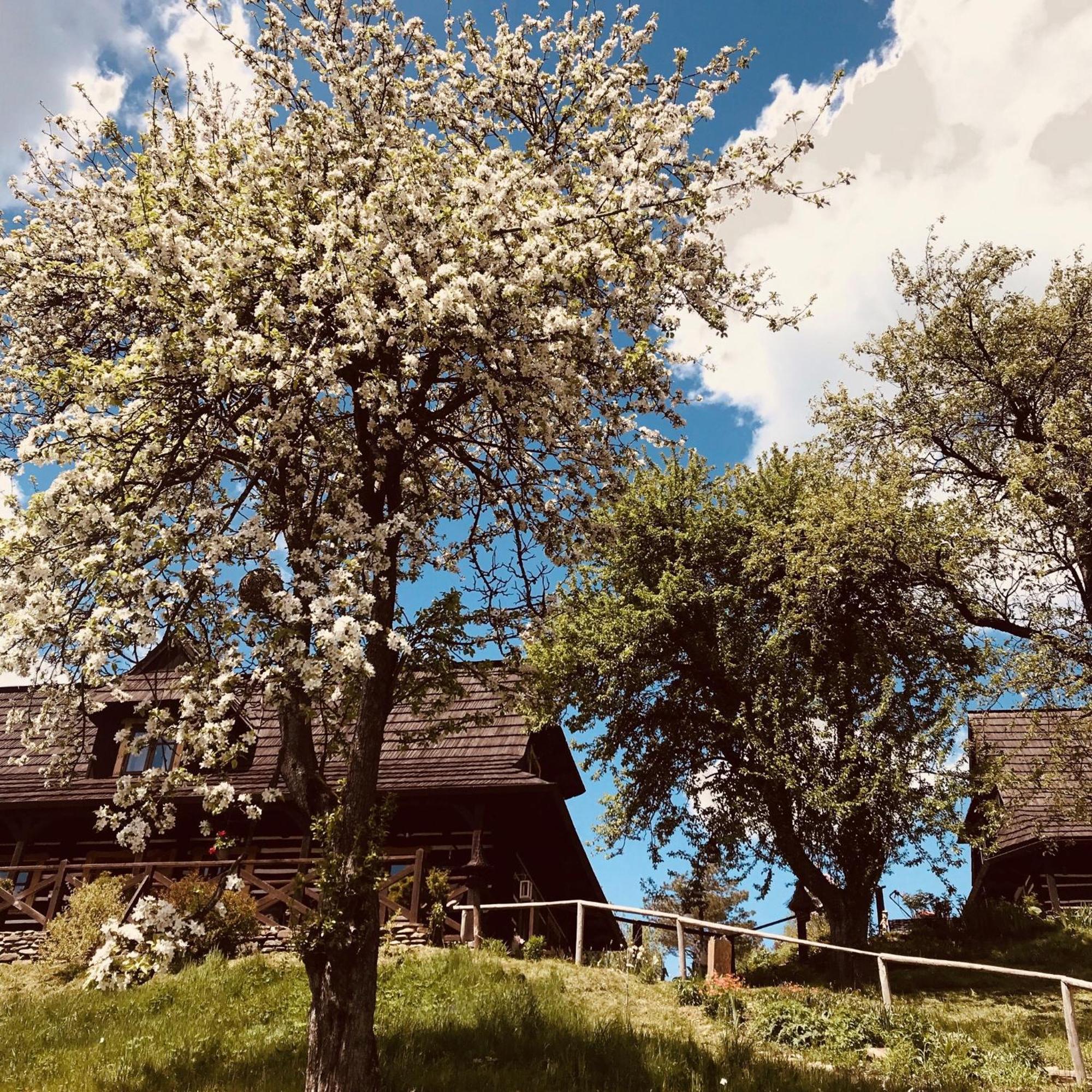Maciejewka Villa Zahoczewie Buitenkant foto