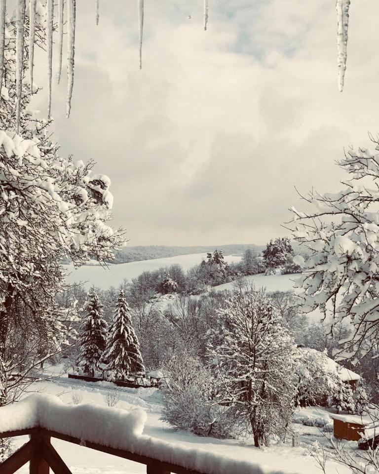Maciejewka Villa Zahoczewie Buitenkant foto