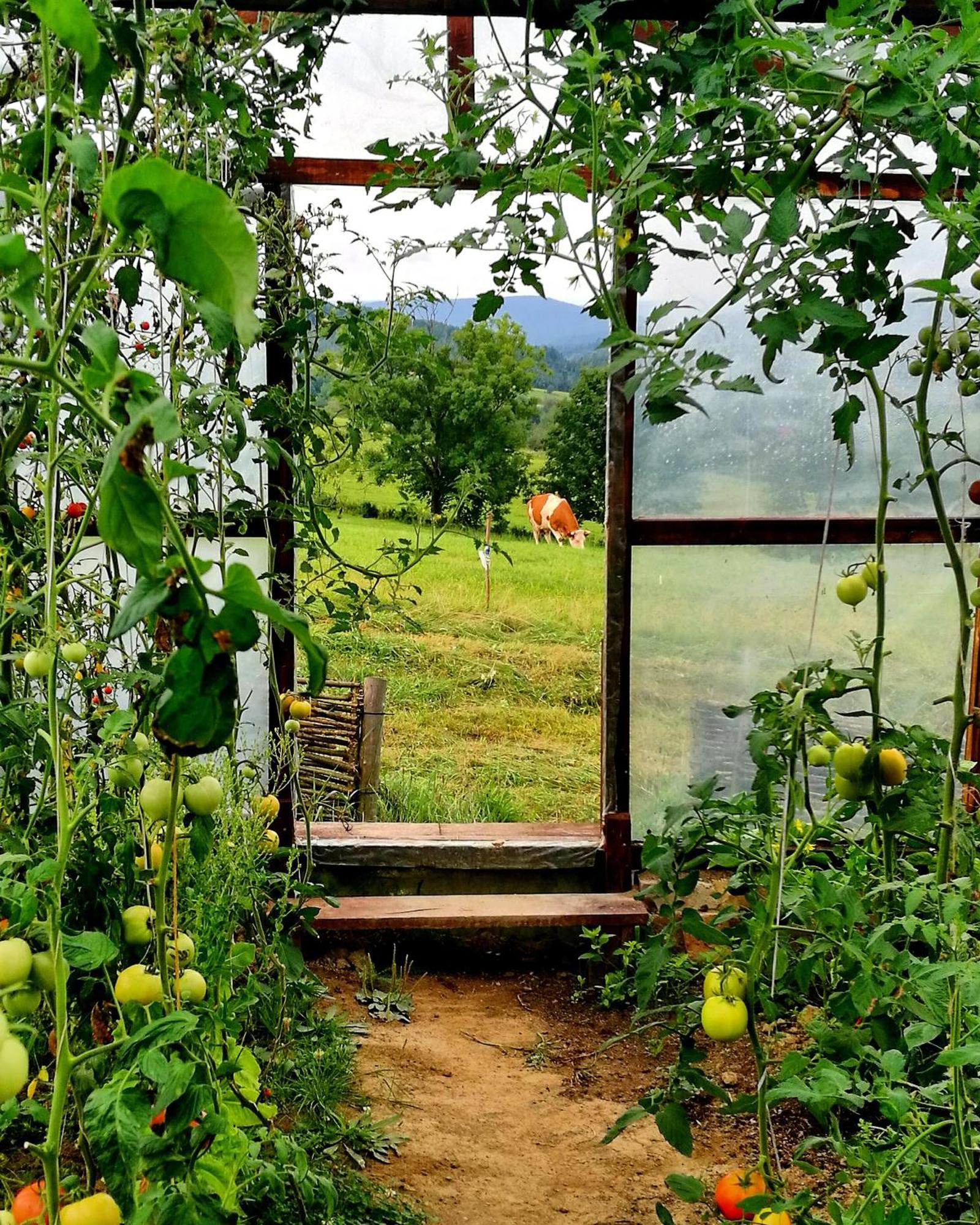 Maciejewka Villa Zahoczewie Buitenkant foto