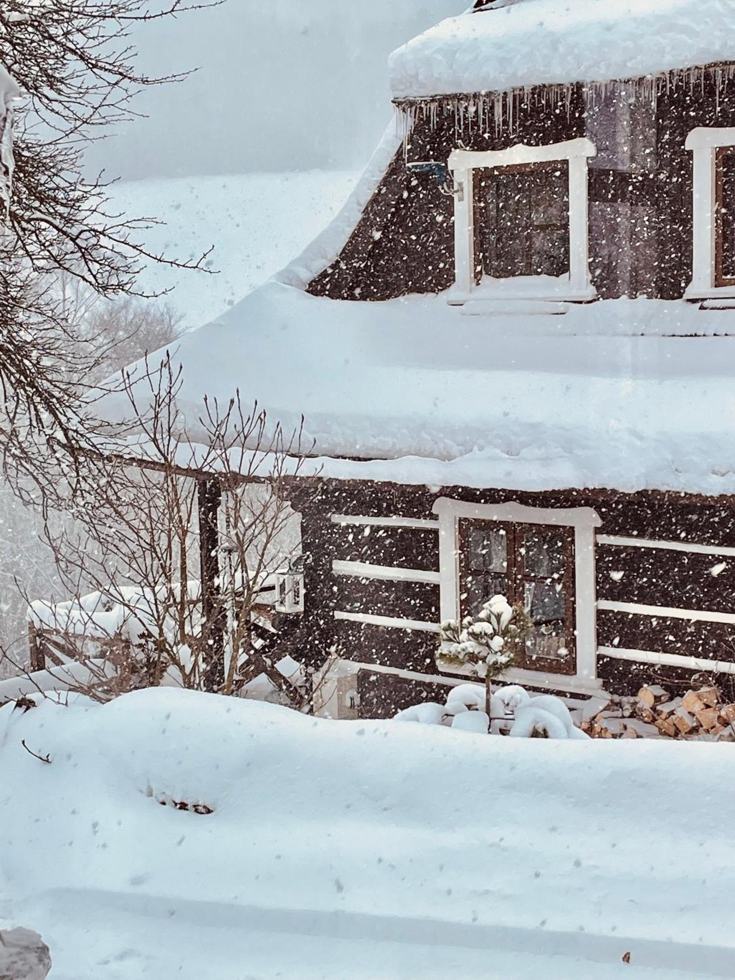 Maciejewka Villa Zahoczewie Buitenkant foto