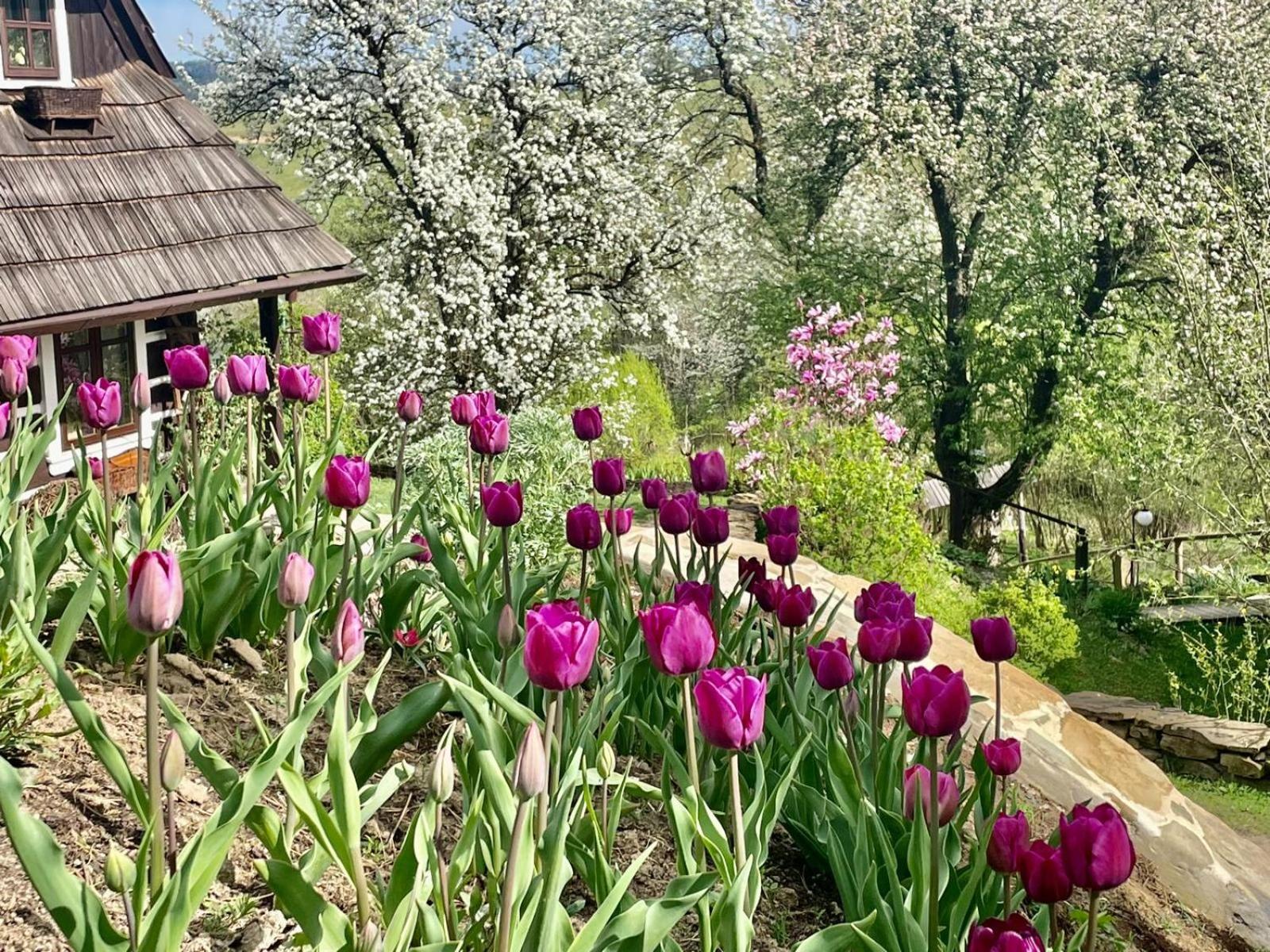 Maciejewka Villa Zahoczewie Buitenkant foto